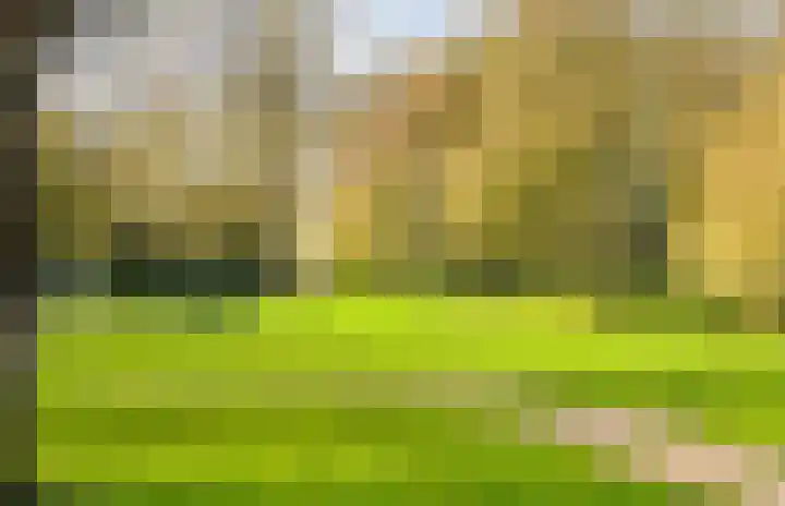 Brederowende 4 Hillegom thumbnail 47