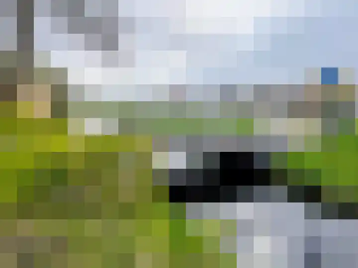 Brederowende 4 Hillegom thumbnail 49