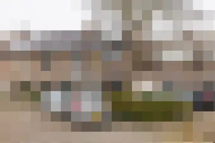 Brederowende 4 Hillegom thumbnail 5