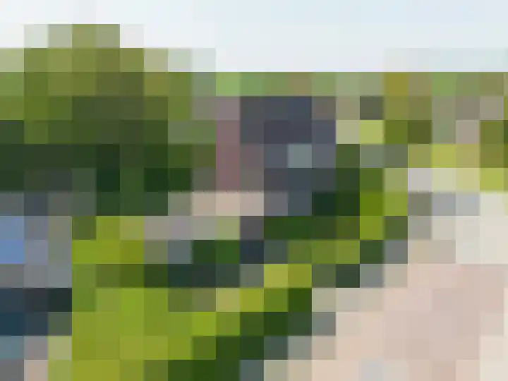 Bredeweg 1 Kantens thumbnail 4