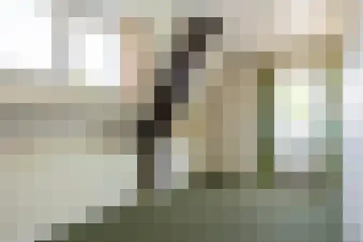 Bredeweg 1 Kantens thumbnail 41