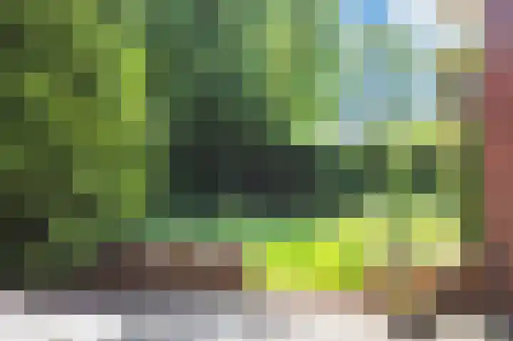 Bredeweg 1 Kantens thumbnail 54