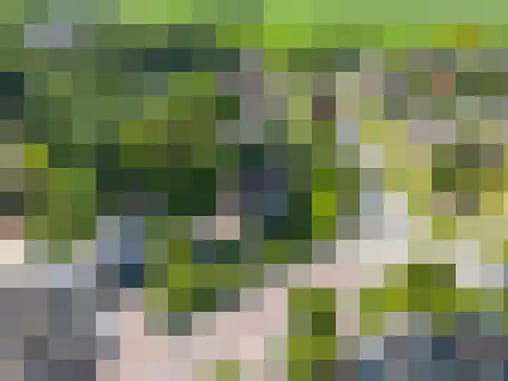 Bredeweg 1 Kantens thumbnail 55