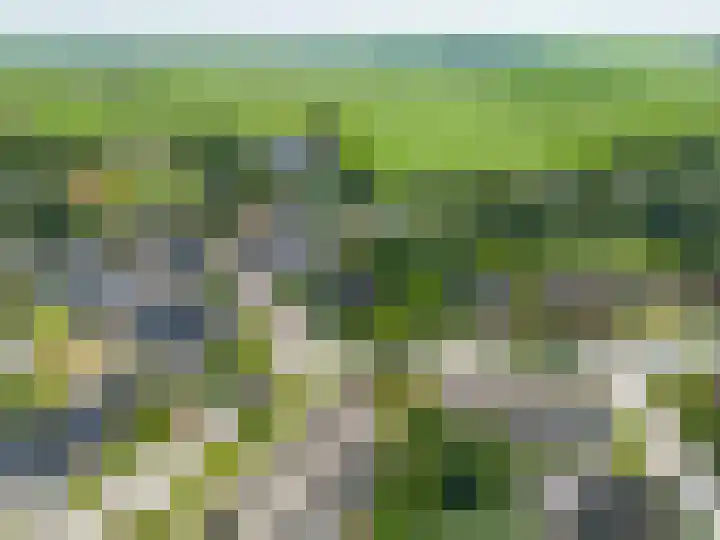 Bredeweg 1 Kantens thumbnail 56