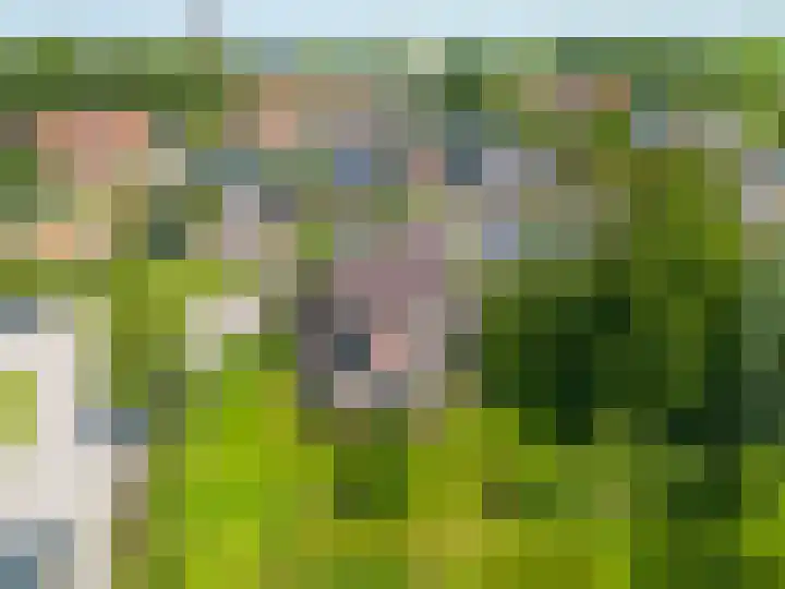 Bredeweg 1 Kantens thumbnail 60