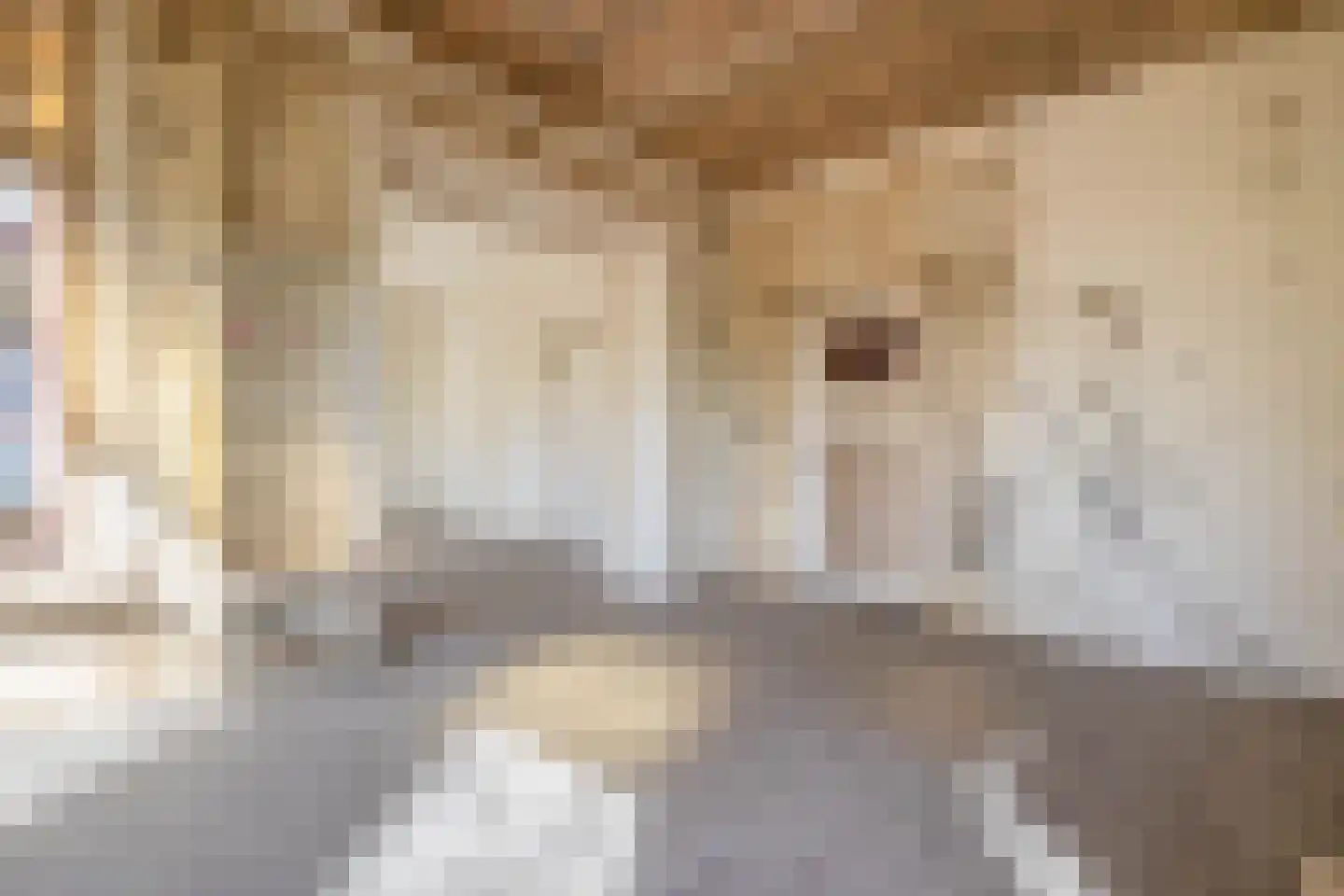Bredeweg 15 Muntendam thumbnail 10