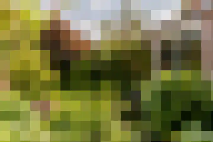 Bredeweg 15 Muntendam thumbnail 28