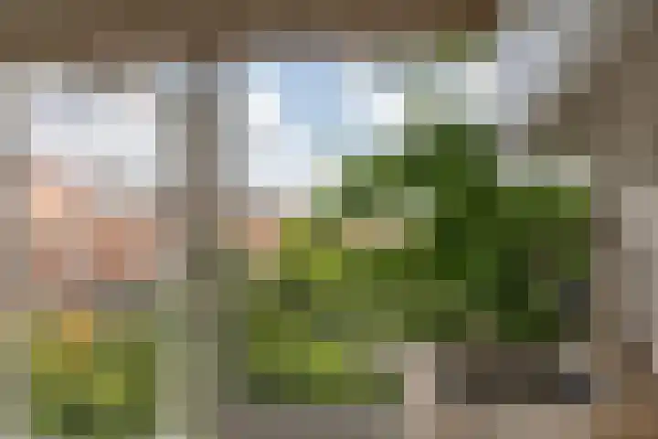 Bredeweg 15 Muntendam thumbnail 47