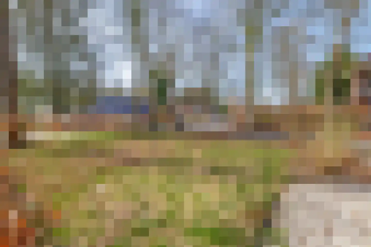 Bredeweg 15 Muntendam thumbnail 5