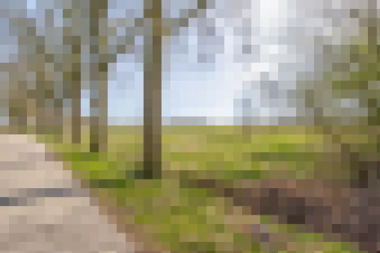 Bredeweg 15 Muntendam thumbnail 56