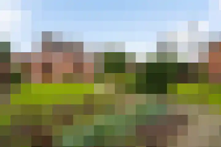 Bredeweg 26 Nederweert thumbnail 26