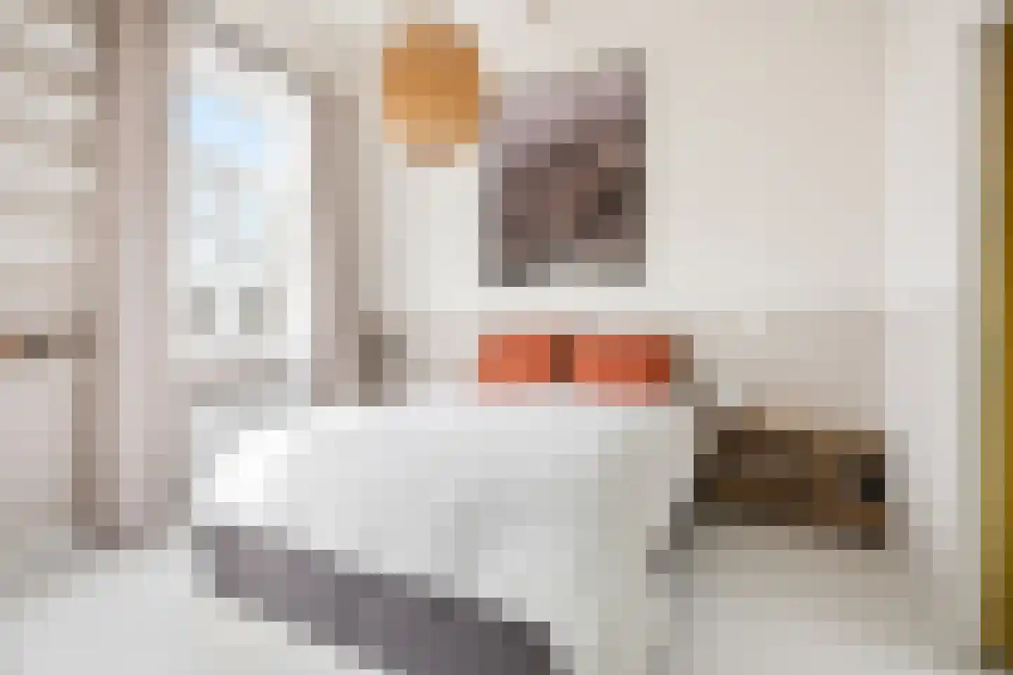 Bredeweg 41 2 Amsterdam thumbnail 24