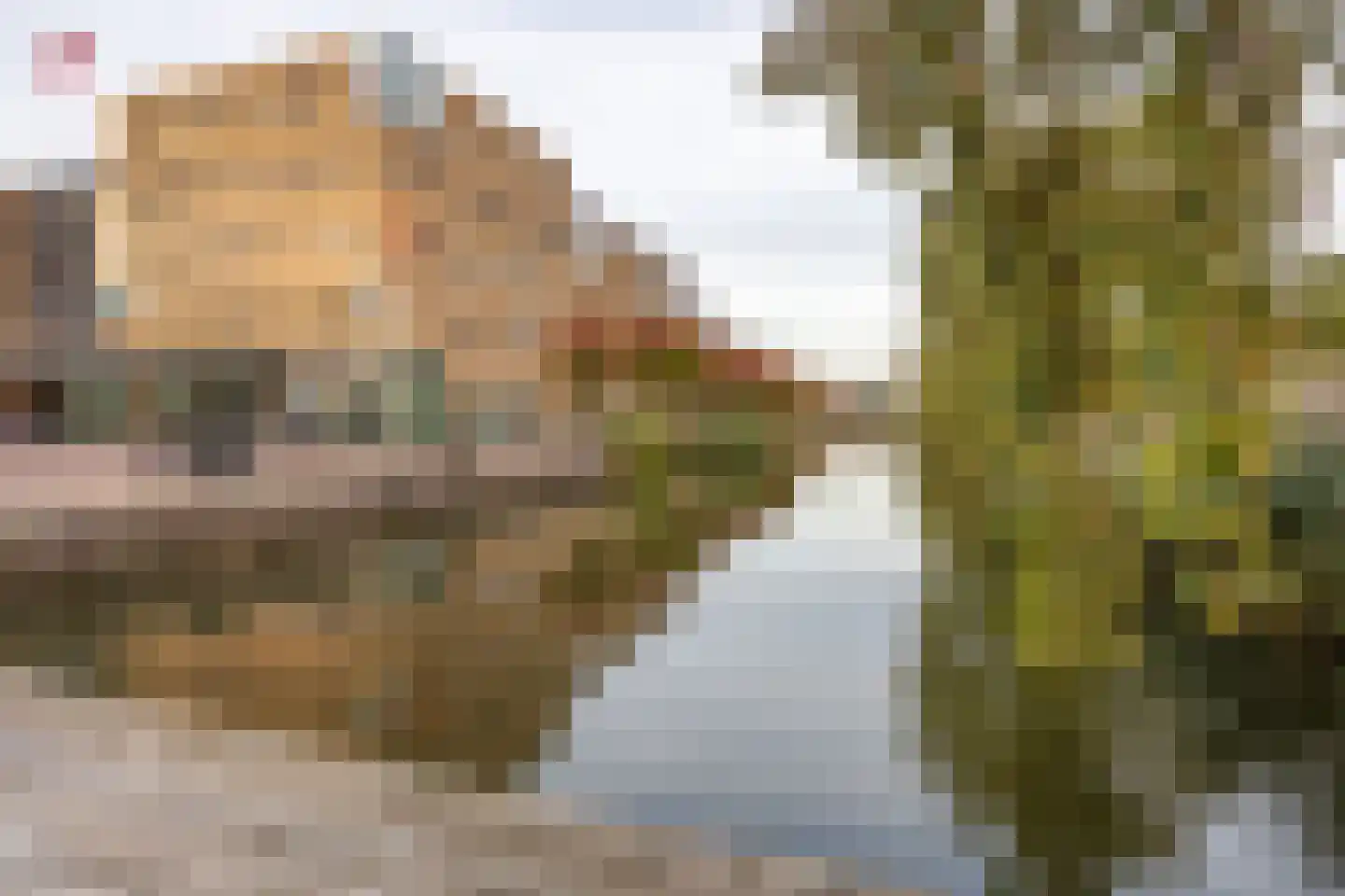 Bredeweg 41 2 Amsterdam thumbnail 58