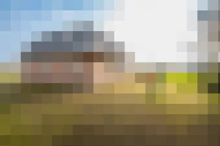 Bredeweg 49 Hulshorst thumbnail 44
