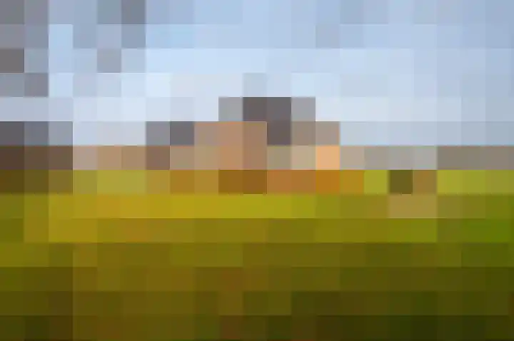 Bredeweg 49 Hulshorst thumbnail 47