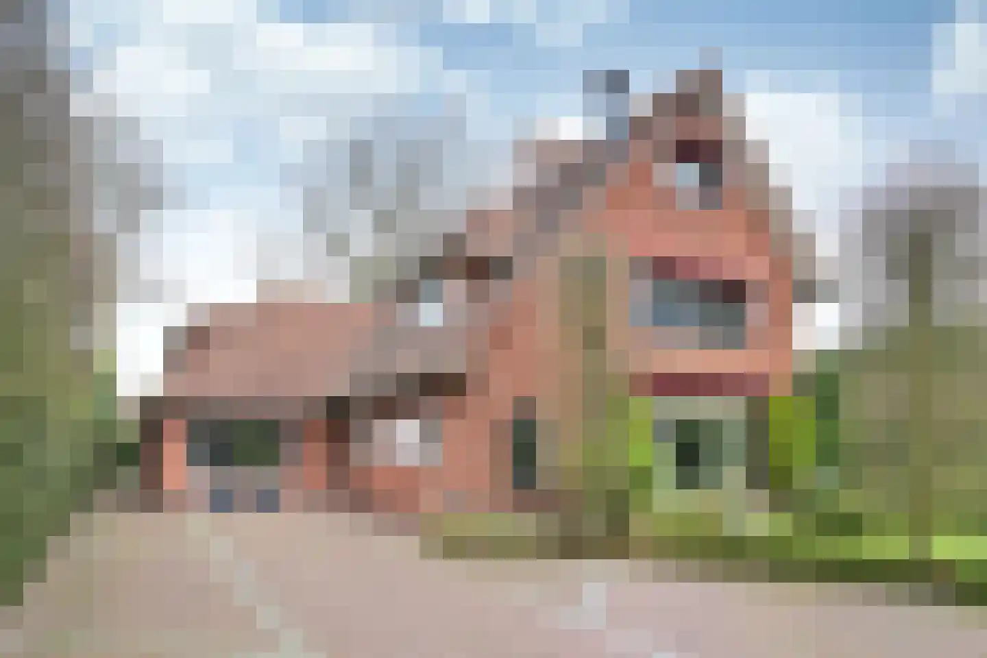 Brediusweg 75 Bussum
