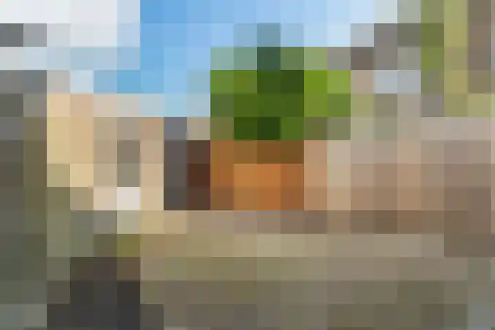 Brediusweg 84 Naarden thumbnail 4