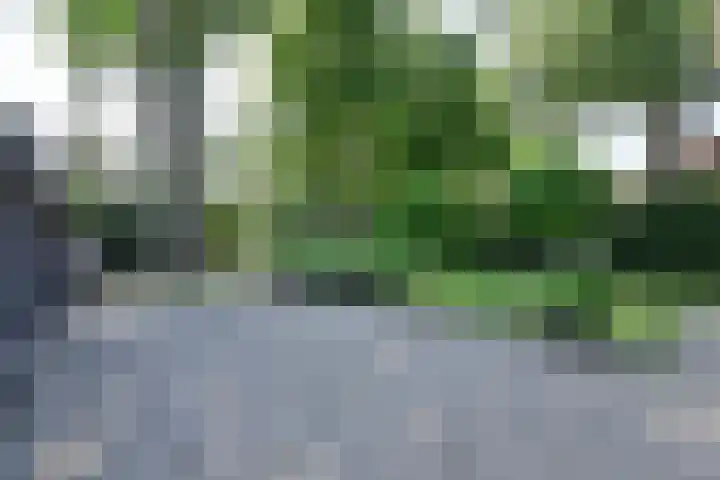 Brediusweg 84 Naarden thumbnail 8
