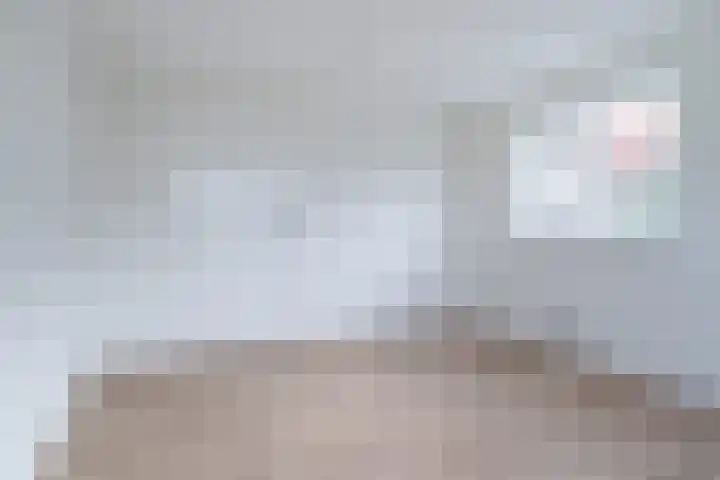 Brédyk 20 Jelsum thumbnail 16