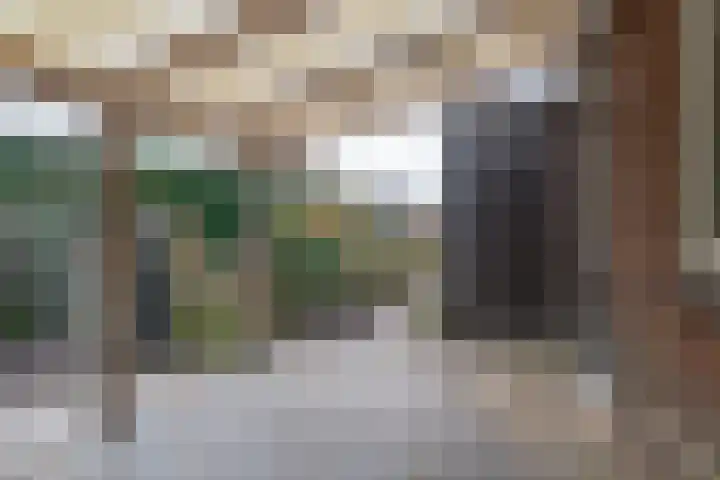 Brédyk 20 Jelsum thumbnail 30