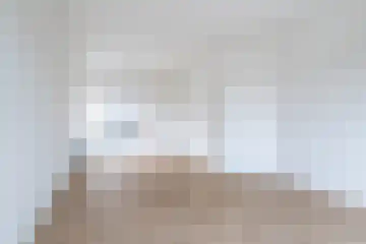 Brédyk 20 Jelsum thumbnail 9