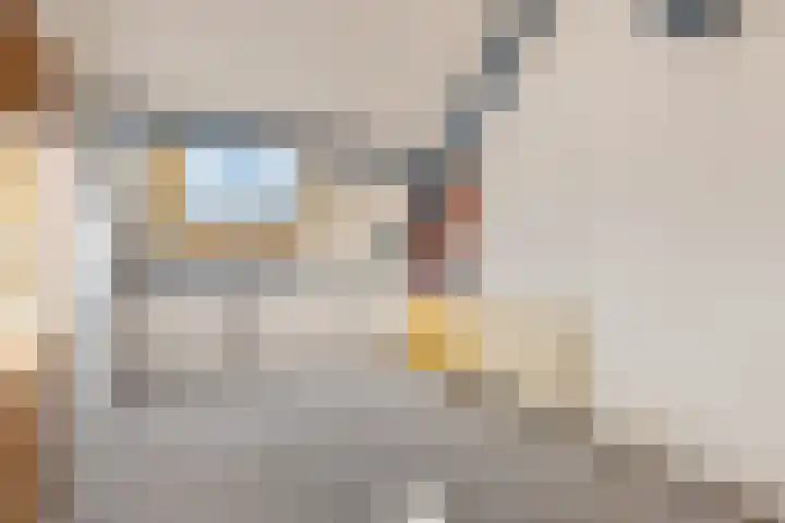 Brédyk 45 Sneek thumbnail 30