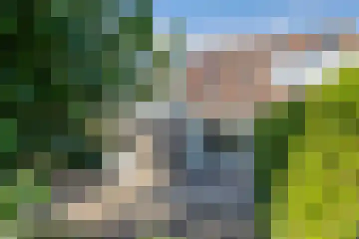 Brédyk 45 Sneek thumbnail 4