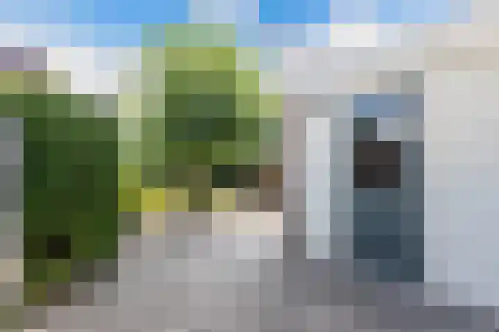 Brédyk 45 Sneek thumbnail 43