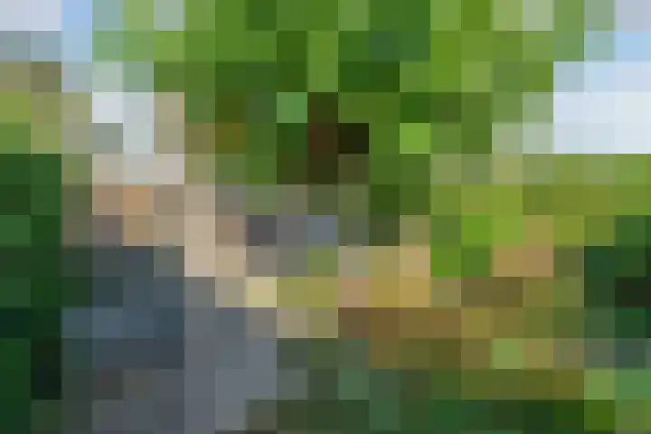 Brédyk 45 Sneek thumbnail 47