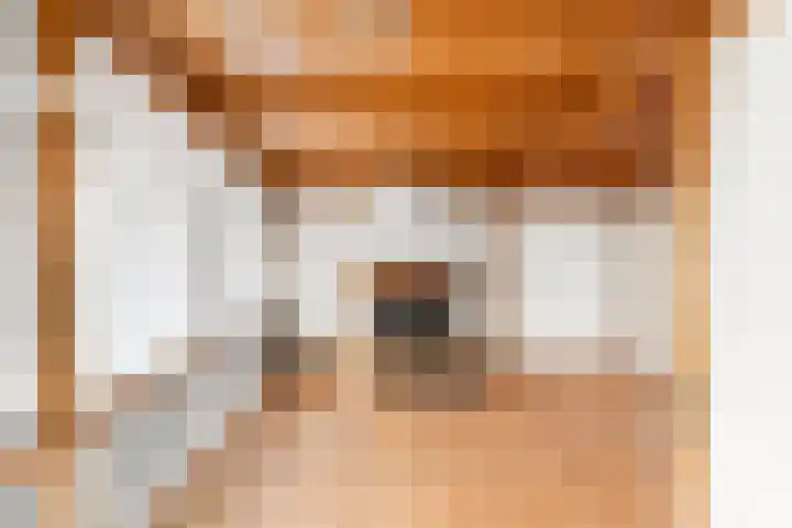 Bree 12 Middelburg thumbnail 10