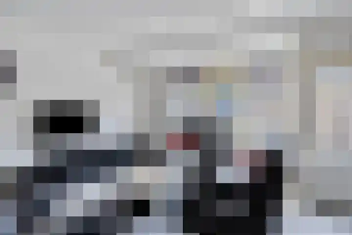 Bree 20 Veldhoven thumbnail 12