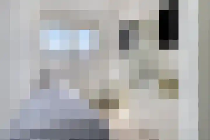 Bree 20 Veldhoven thumbnail 28