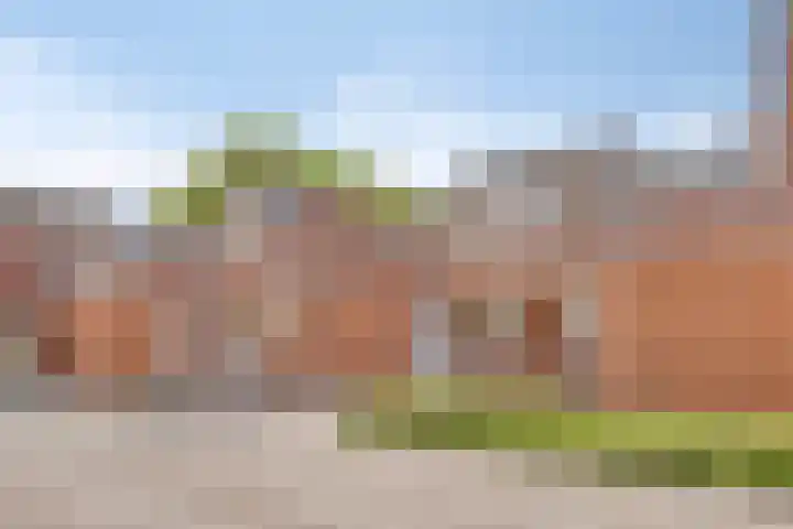 Bree 20 Veldhoven thumbnail 7
