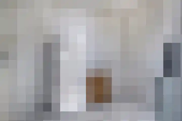 Bree 24 Veldhoven thumbnail 12
