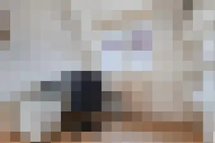 Bree 24 Veldhoven thumbnail 20