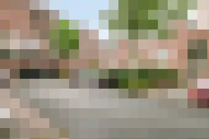 Bree 24 Veldhoven thumbnail 27