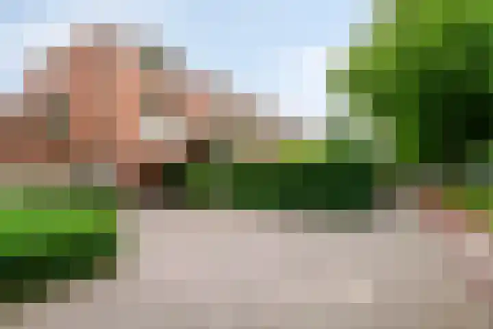 Bree 24 Veldhoven thumbnail 4