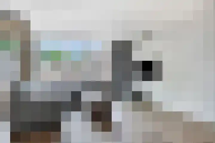 Bree 24 Veldhoven thumbnail 8