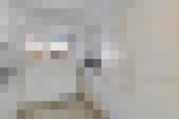 Bree 40 Veldhoven thumbnail 11