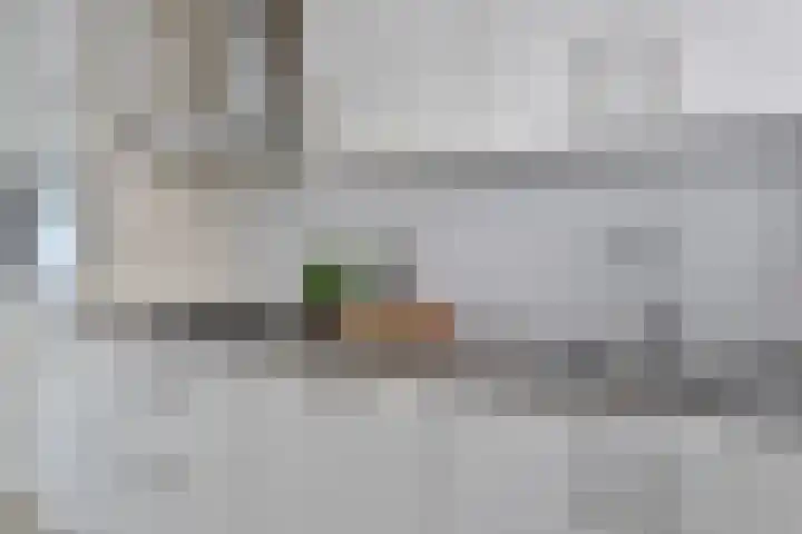 Bree 40 Veldhoven thumbnail 14