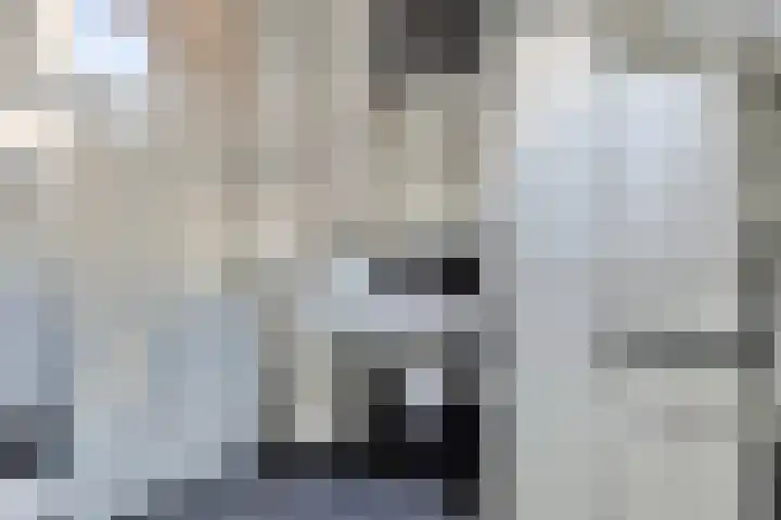 Bree 40 Veldhoven thumbnail 21