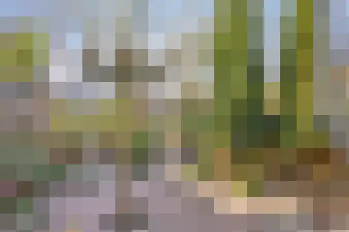 Bree 40 Veldhoven thumbnail 27