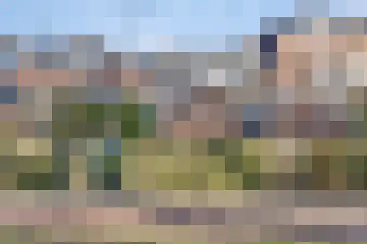 Bree 40 Veldhoven thumbnail 28