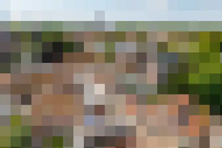 Bree 5 B Middelburg thumbnail 14