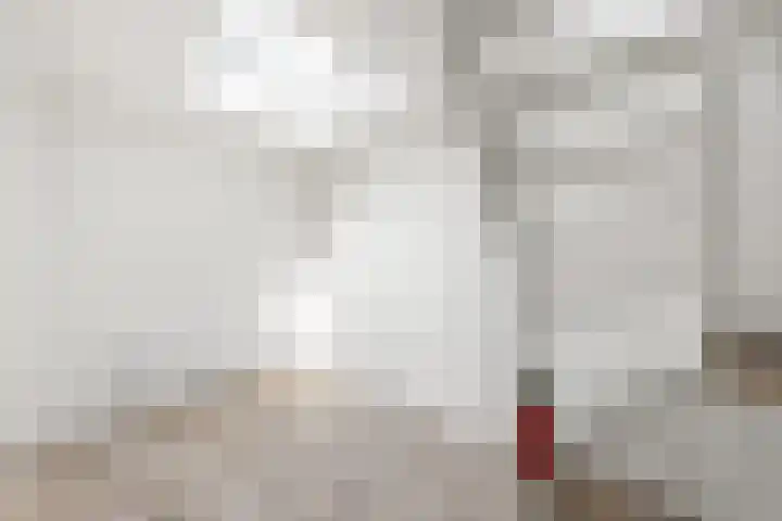 Bree 5 B Middelburg thumbnail 8