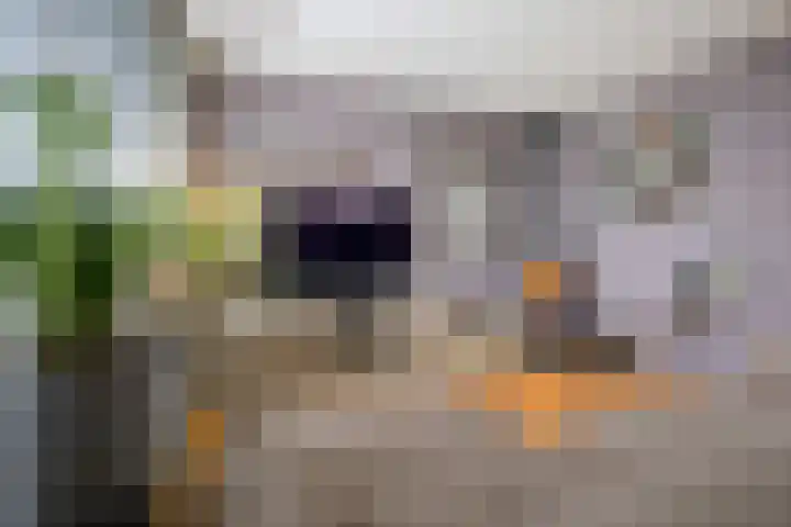Breed 8 Midwoud thumbnail 10