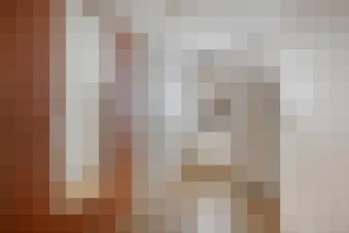 Breed 8 Midwoud thumbnail 13