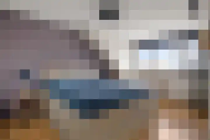 Breed 8 Midwoud thumbnail 19