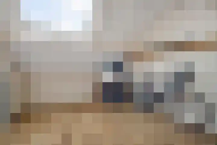 Breed 8 Midwoud thumbnail 21