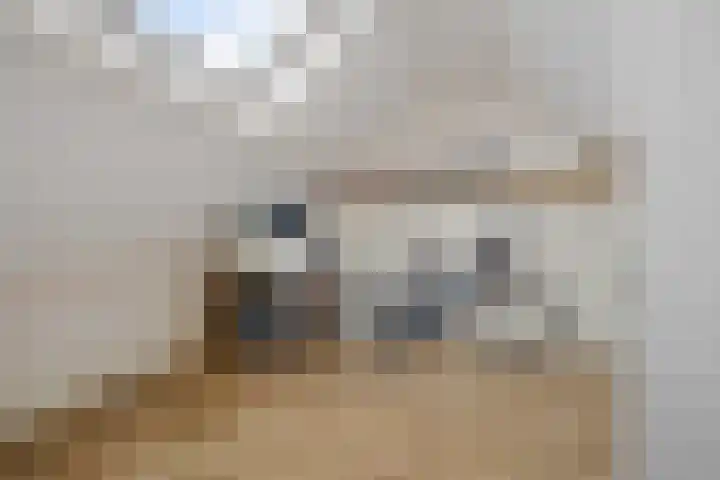 Breed 8 Midwoud thumbnail 22